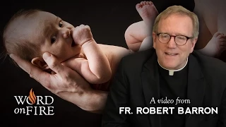 Bishop Barron on Being Born Again