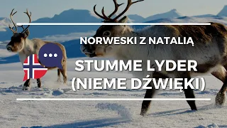 Lekcje norweskiego - nieme litery. Czego nie wymawiamy?