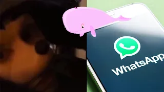 Jonathan Galindo Update - gruseliges Video, Er ist auf Whatsapp, Pink Whale