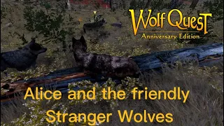 Alice and the Friendly Stranger Wolves in WolfQuest