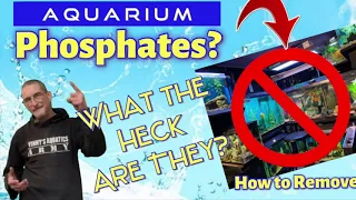 How To REMOVE AQUARIUM PHOSPHATES!