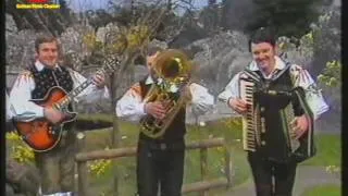 Alpenoberkrainer - Schöne Urlaubszeit (1979)