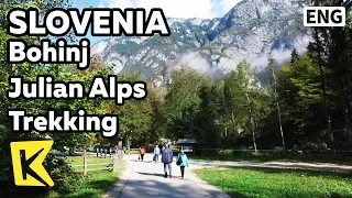 【K】Slovenia Travel-Bohinj[슬로베니아 여행-보히니]쥴리안 알프스 트레킹/Bohinj Lake/Julian Alps/Trekking/Vogel/Mountain