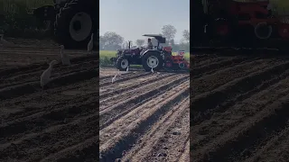 arjun novo 755 tractor short viral video #trending #reels #tractor #video #mahindra 575tractortochan
