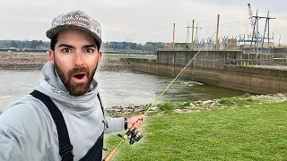 GIANT SPILLWAY Fishing and a SIMPLE WAY to Catch EVERYTHING From The BANK! INSANE Catch and Cook!!!