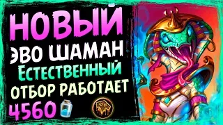 ШАМАН НА ЭВОЛЮЦИИ🦕 - Самая НЕДОРОГАЯ ИЗ СИЛЬНЫХ Колод - СУ - 2019/Hearthstone