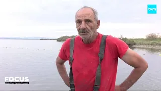 [ FOCUS] Le crabe bleu envahi la Méditerranée