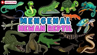 BELAJAR MENGENAL NAMA NAMA REPTIL BAHASA INDONESIA & BAHASA INGGRIS | LEARN NAMES OF REPTILE ANIMALS