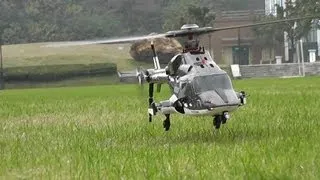 Flight Review - RC Airwolf with 5 blades main rotor head