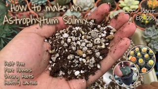 How to Make an Astrophytum Soilmix