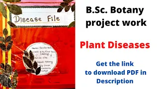Disease file / UG / B.Sc. Botany project work😍