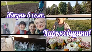 Живу в селе,🏡сажаем кукурузу.Едем в соседнее село.🚗С праздником Светлой Пасхи!🍩🥚