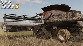 🔴LIVE: BIG HARVEST WITH THE GLEANER!!! | Early Look Red River Valley | FS19 Episode 3