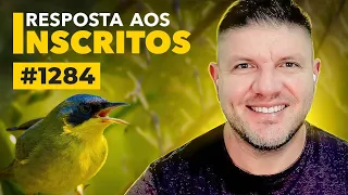 Live ao vivo para membros # 1284!!