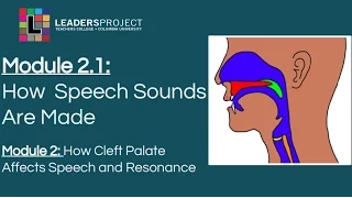 Module 2.1- Cleft Palate Speech and Feeding: How Speech Sounds Are Made