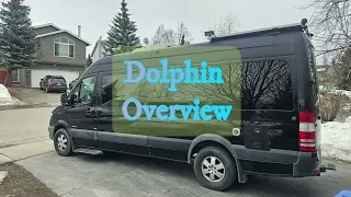 Dolphin Highlight