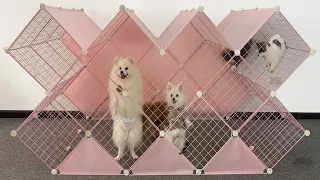 DIY Diamond House For Pomeranian Puppies With Cube Grid Wire | How To Make DogCat House | MR PET #69