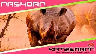 Носорог идет... ▶ WORLD OF TANKS (HD)