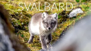 SVALBARD - Cinematic 4K DRONE Video