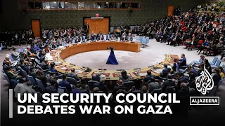 UN Security Council meeting: Calls for ceasefire & two-state solution