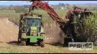 Cane Harvesting Plantation [SD]