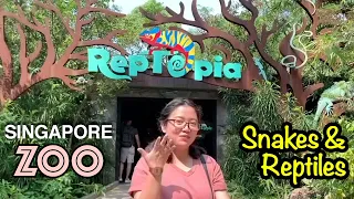 Reptopia Tour | Singapore Zoo