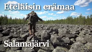 Kolme päivää Salamajärven kansallispuistossa