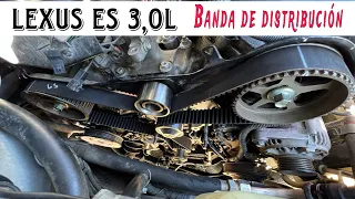 REEMPLAZO DE BANDA DE TIEMPO LEXUS ES 300-TOYOTA 4RUNNER-TUNDRA 3.4L 2000-2005