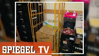 Kokain im Supermarkt - Comeback einer Droge | SPIEGEL TV