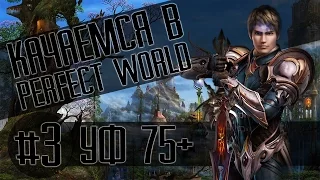 Качаемся в Perfect World — HappyPW #3 УЩЕЛЬЕ ФЕНИКСА 75+