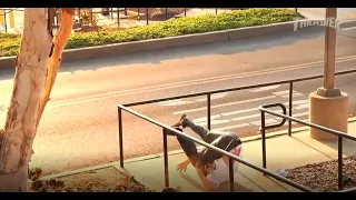 Coffin Dance | Skateboard Fails