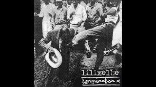 LiliXElbe / Terminator X - Split