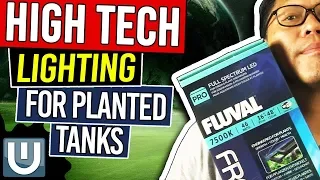 High Tech Aquarium Lighting - Planted Aquarium Lighting Guide – Part 6