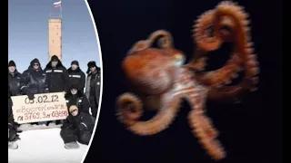 Is 14-legged killer squid found TWO MILES beneath Antarctica being weaponised by Putin