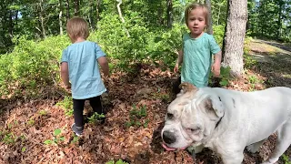 Twins take a hike with Beano