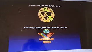 Открытие DVD-диска Возвращение блудного попугая