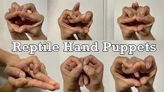 How to Make Reptile Snake Alligator Lizard Godzilla Heads Hand Puppets 2021.08.14 Fun Tricks Hobbies