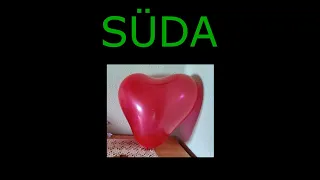 Süda