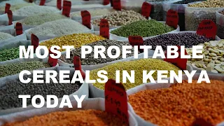 Which are the most profitable cereals in Kenya? #farming #kilimobiashara #business