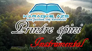 Printre Spini - Karaoke AZS | Instrumental