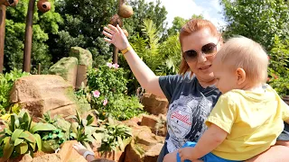 Our Fun Family Day At Disney World's EPCOT!  Rides, Food & Rain!