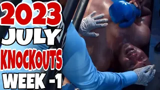 MMA & Boxing Knockouts I July 2023 Week 1