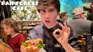 Rainforest Cafe in Galveston, Texas!! (Family of 9 bus life)