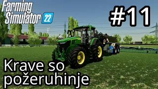 Pognojil pokošen travnik | Farming Simulator | Sanjska kmetija #11