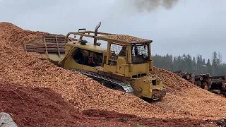 Caterpillar D9G pushing Wood Chips