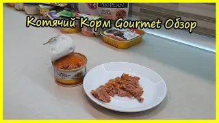 Влажный Котячий Корм Gourmet Обзор. Блог Кота Альфа. Обзор Влажных Кормов для Кошек Гурмэ