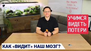 Бережливое производство. Учимся видеть потери. Маленький эксперимент. Как "видит" наш мозг.