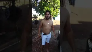 Kauam cigano de piracanjuba Goiás