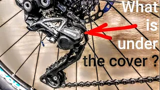 Shimano XT Deore rear derailleur. What is under the cover ???
