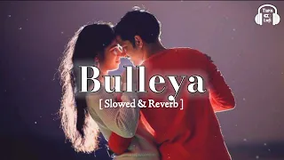 Bulleya Song ( Slowed & Reverb ) Sultan | Papon | Salman Khan | Bulleya Song Lofi Mix